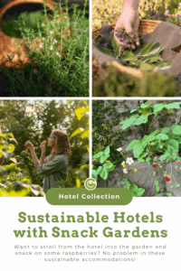 A four-part collage featuring herbs, a hand holding herbs in a basket, a woman picking raspberries in a garden, and a raspberry plant with red berries in front of a stone wall.