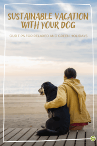 Person in a yellow hoodie sits on a beach platform, embracing a black and white dog while gazing at the serene ocean under a cloudy sky. Text reads "Sustainable Vacation with Your Dog: Our Tips for Relaxed and Green Holidays."