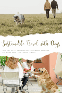 Couple walking in a field with a dog; below, another couple dines outdoors with a dog. Text reads: "Sustainable Travel with Dogs." Tone is serene and joyful.