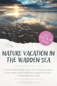 Sunset over the Wadden Sea with reflective wet sands under a dramatic cloudy sky. Text reads: “Nature Vacation in the Wadden Sea,” with details below.