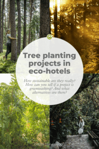 Junge Frau pflanzt einen Baum auf einem sonnigen Feld, trägt Handschuhe und ist voll bei der Sache. Der Text darunter fragt, ob das Pflanzen von Bäumen nur Greenwashing oder echt nachhaltig ist.
