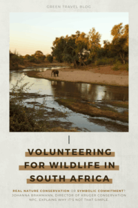 A lone elephant stands beside a calm river at sunset in South Africa, surrounded by lush trees. The scene conveys tranquility and natural beauty. Text below discusses volunteering for wildlife conservation.