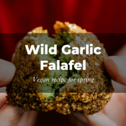 Two hands hold a crispy wild garlic falafel with a green interior against a red background