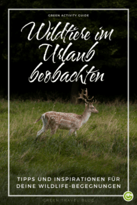 Hirsche in einem grasbewachsenen Feld mit dunklem Waldhintergrund, überlagert von den Texten „Watching Wildlife on Vacation“ und „Tips and Inspiration for Your Wildlife Encounter“.