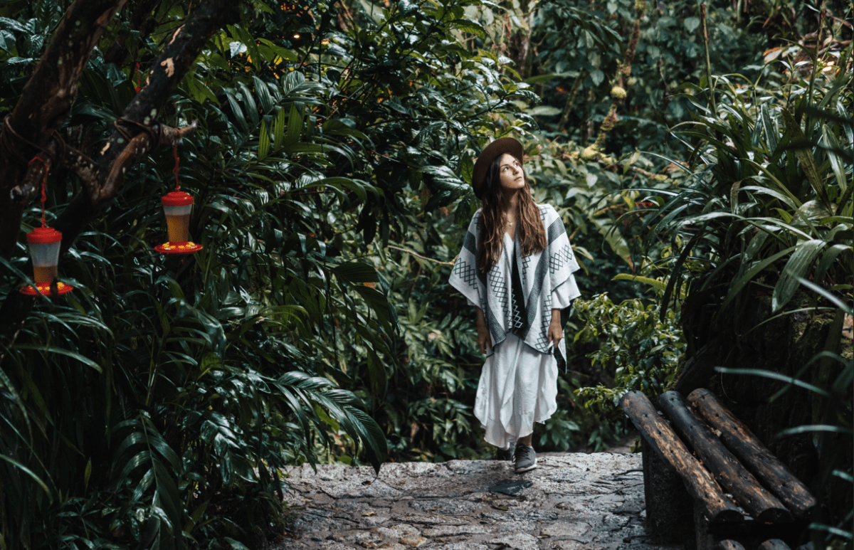 Tree planting and climate protection: greenwashing or a meaningful contribution to more conscious travel?