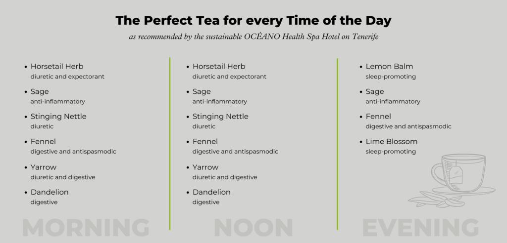 Which herbal tea to drink at what time of day? This graphic tells you!