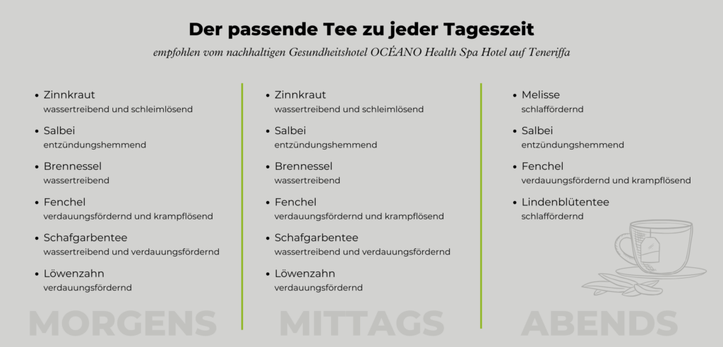 Welchen Kräutertee zu welcher Tageszeit trinken? Diese Grafik verrät es dir!