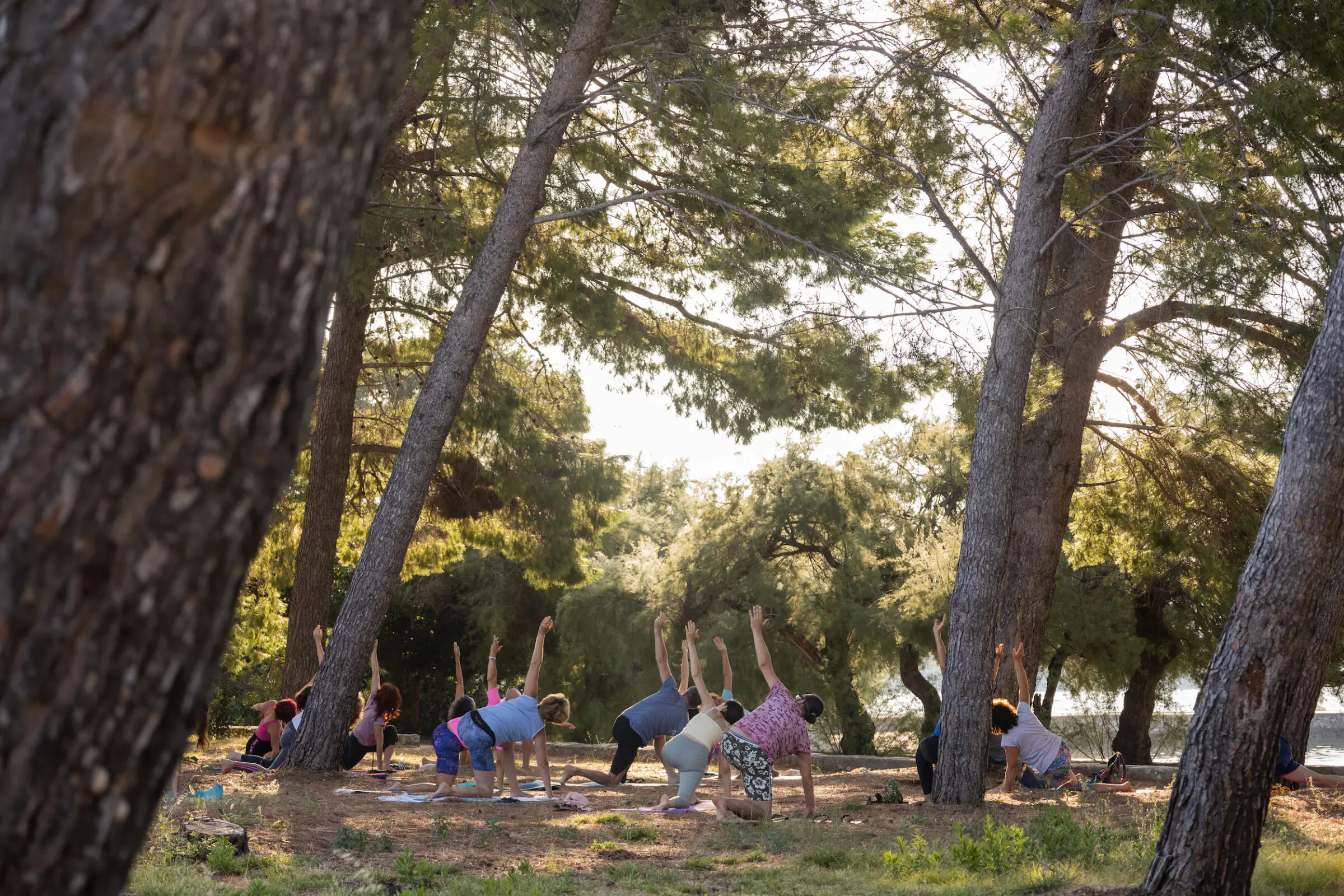 Group practices yoga outdoors under pine trees in Croatia - Retreat from Hotel Korinjak